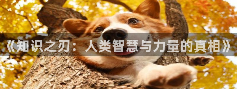 鸠摩搜书官网电子书